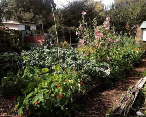 Photo of raised garden representing Christchurch as the Garden City. Photo taken by EGL Christchurch participant Christopher Vining, all rights reserved.