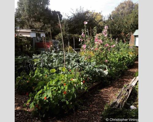 Photo of raised garden representing Christchurch as the Garden City. Photo taken by EGL Christchurch participant Christopher Vining, all rights reserved.